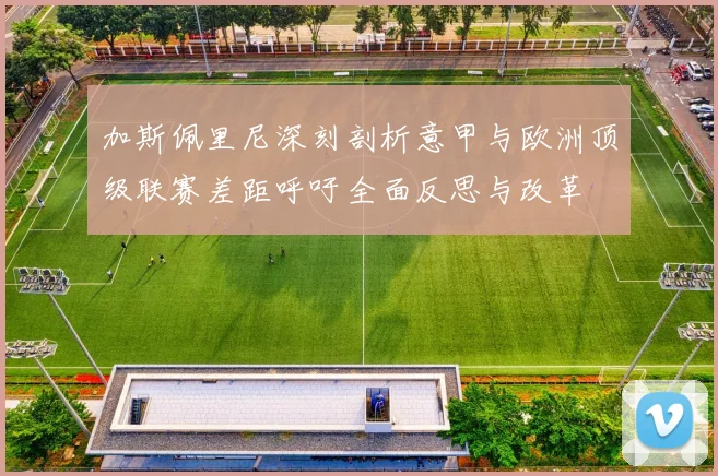 加斯佩里尼深刻剖析意甲与欧洲顶级联赛差距呼吁全面反思与改革